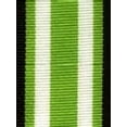 thumbnail image 2 of Polypropylene Grosgrain Ribbon, 0.375in x 100 yards, Navy Lime Surfboard, 2 of 4