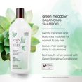 thumbnail image 3 of Bain de Terre GREEN MEADOW BALANCE SHAMPOO 400ML, 3 of 8