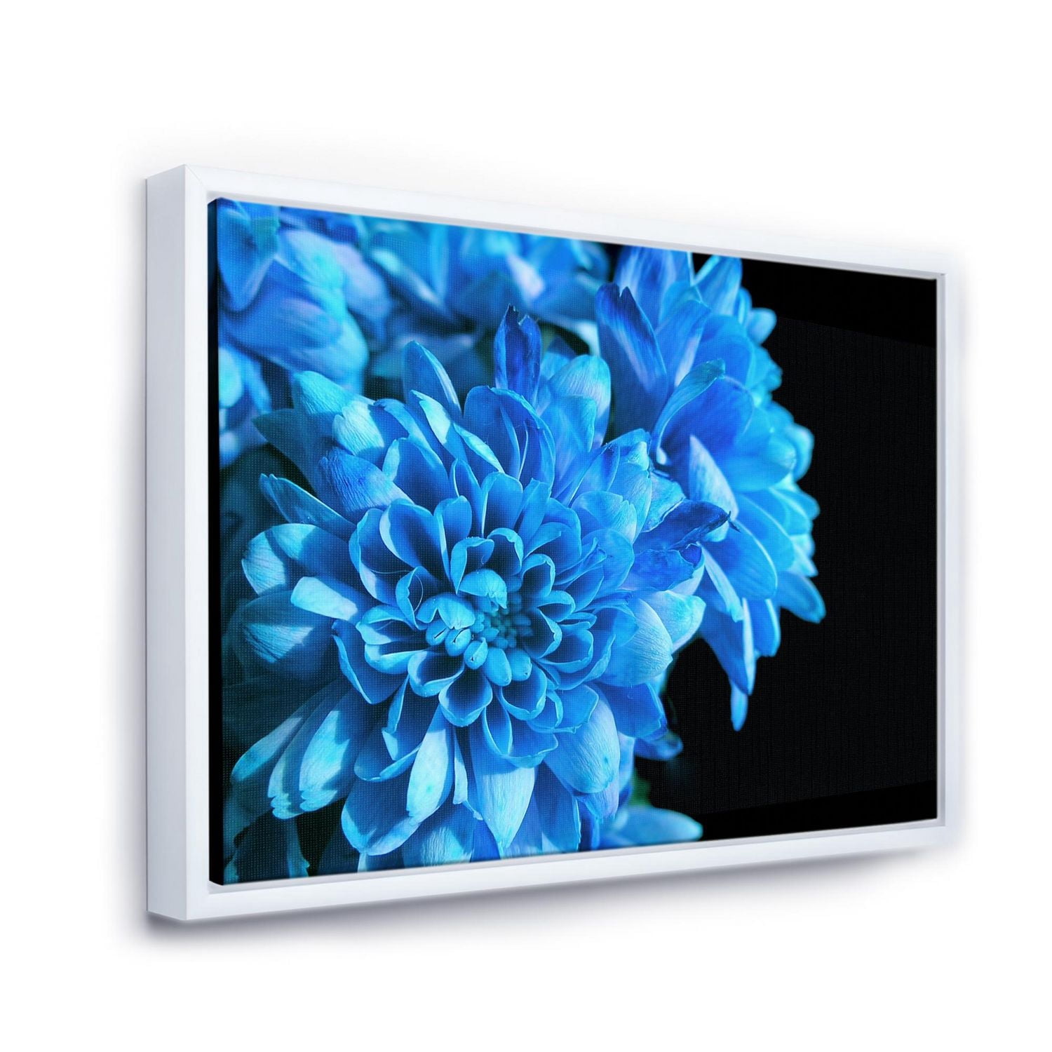 Designart Détail de fleurs bleues sur noir I ART MURAL À CADRE FLOTTÉ