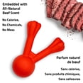 thumbnail image 4 of Playology Jumbo Crunchy Branch - Beef Scented Dog Toy, 4 of 6
