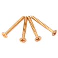 thumbnail image 3 of lionlar 4 Pieces Gold Neck Plate Mounting Screws For ST Electric Guitar Parts, 3 of 6