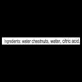 thumbnail image 4 of Dynasty Sliced Water Chestnuts, 4 of 5