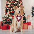 thumbnail image 3 of PinesC Bandana de Noël pour Chien, Costume Formel de Noël à Carreaux Rouges avec Nœud Papillon Réglable pour Chiens Moyens Animaux (m, Noël), 3 of 5