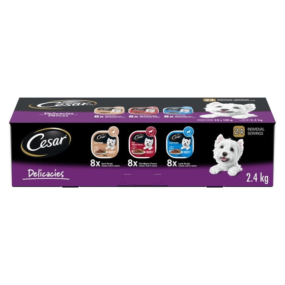 CESAR Pâté Classique en Sauce Nourriture Humide pour Chiens Variété Délices, Coupelles Lot de 24