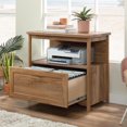 thumbnail image 3 of Sauder® Coral Cape Filing Cabinet, Sindoori Mango®, 431695, 3 of 7