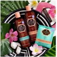 thumbnail image 2 of HASK® Coconut Oil Nourishing Hair Oil, 2 of 3