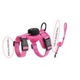 thumbnail image 3 of Escape Proof Reflective Cat Harness and Leash Set with GPS Tracker Pouch for Small Cats, 3 of 8