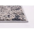 thumbnail image 2 of ECARPET Phoenix Grey Rug, 2 of 9