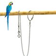 thumbnail image 3 of Bird Foot Stand Chain Stainless Steel Parrot Foot Chain Bird Supplies, 3 of 8