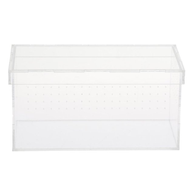 GROWTH TANK Acrylique Reptile Terrariums Plante Alimentation Réservoir pour l'Élevage