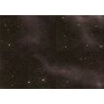 thumbnail image 1 of Ahgly Company Machine Washable Indoor Rectangle Transitional Chocolate Brown Area Rugs, 8' x 12', 1 of 7