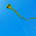 thumbnail image 2 of TISHITA Huge Colorful Kite with 100M Line Long Tail 3D Single Line Kite Easily Fly for Snake, 2 of 4