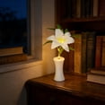 thumbnail image 4 of Lunxisen 2 Pcs Flower Pot Night Light Desk Lamp Home Decor Ambient Lighting Gift Idea, 4 of 7