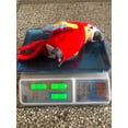 thumbnail image 3 of Talking Parrot Toy with Recording Function for Kids Indoor Outdoor Safe Cuddly Companion Great Idea, 3 of 7