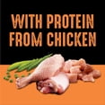 thumbnail image 4 of Crave Real Chicken High Protein Dry Dog Food, 4 of 7
