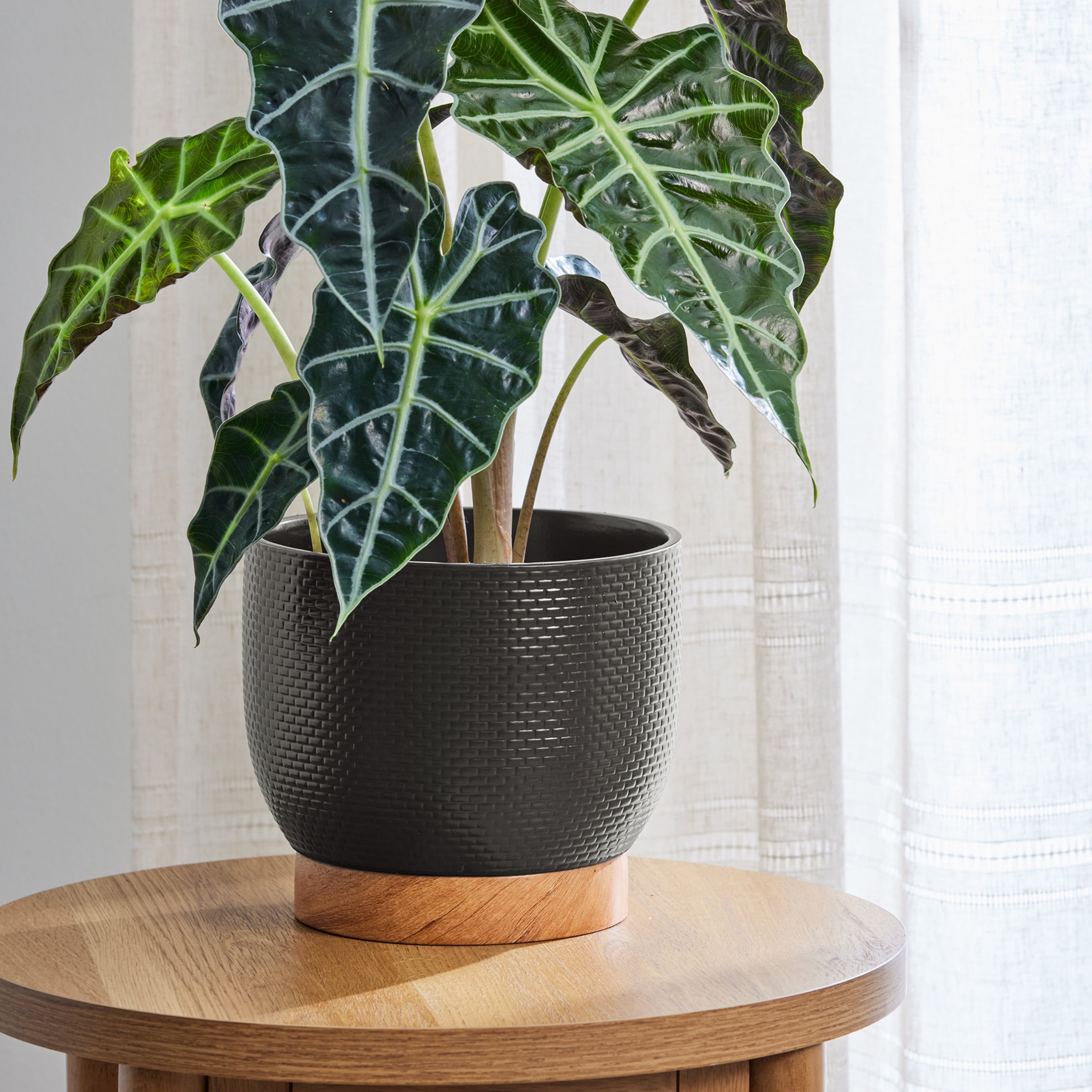 Better Homes and Gardens Pot tressé Channing en céramique noire de 8 pouces