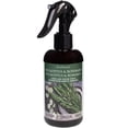 thumbnail image 1 of ScentSationals Room Spray - Eucalyptus & Rosemary, 1 of 3