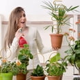 thumbnail image 4 of Tong Natural Climbing Support Indoor Outdoor Garden Vine For Potted Decorative Climbing, 4 of 4