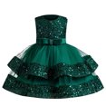 thumbnail image 1 of Birdeem Girls Summer New Sleeveless Ruffled Lace Round-Neck Embroidery Mesh Princess Bow Skirt, 1 of 12