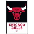 thumbnail image 4 of NBA Chicago Bulls - Logo 21 Wall Poster, 22.375" x 34" Framed, 4 of 4