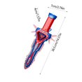 thumbnail image 2 of SIYTUAU Red Glowing Sword Toy With Light Effects And Sound For Boys Role Playing Props And Simulation Combat Plastic Interactive Gift For Holidays And Fun Activities Red, 2 of 6