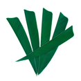 thumbnail image 3 of S SERENABLE 12 Pieces 4 Inch Feathers Fletchings Vanes Green, 3 of 9