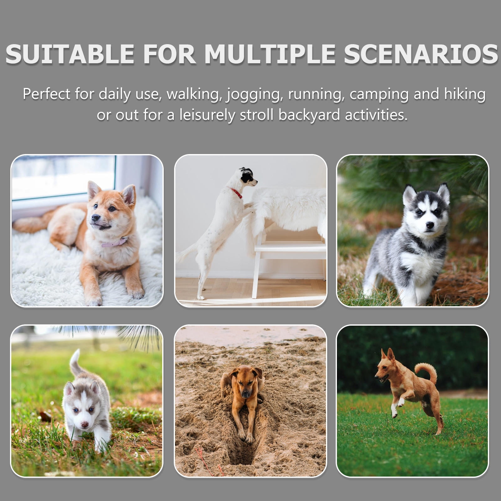 Raindrops Comfortable Black Nylon Dog Walking Leads with Triple Leashes for Jogging