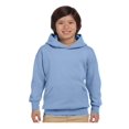 thumbnail image 1 of Hanes - Chandail à Capuchon pour Jeunes Ecosmart, 1 of 1