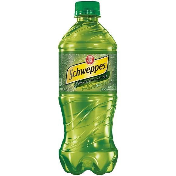 Schweppes Ginger Ale 591 mL, Bottle