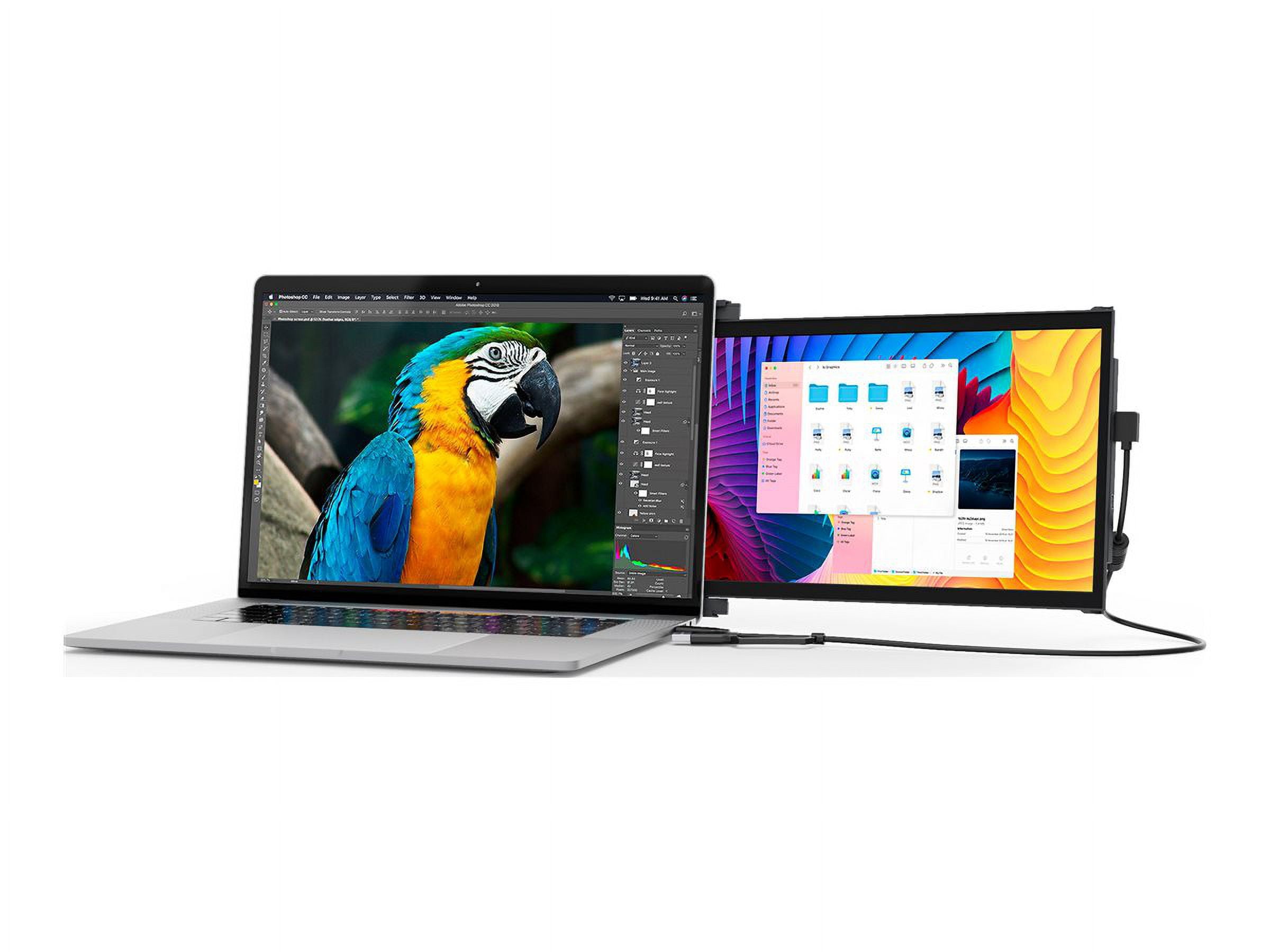 Mobile Pixels DUEX Plus - LCD monitor - 13.3" - portable - 1920 x 1080 Full HD (1080p) @ 60 Hz - 300 cd/m�� - 2xUSB-C