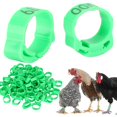 thumbnail image 4 of <p>Poultry Foot Clip, Poultry 100pcs Clip Poultry Foot , Chicken For Foot  Bird Buckle</p>, 4 of 7