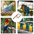 thumbnail image 4 of 1 Set of Suspending Parrot Toy Household Bird Swing Parrot Chewing Swing Bird Accessory, 4 of 9