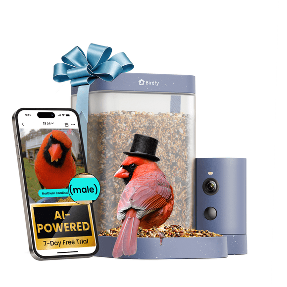 Birdfy Smart Bird Feeder with Camera, 60FPS Smooth Video, AI Bird Identification & Instant Alerts, Auto Capture, Perfect Gift for Bird Lovers