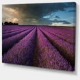 thumbnail image 2 of Champ de Lavande et Ciel Dramatique - Impression sur Toile Florale, 2 of 3