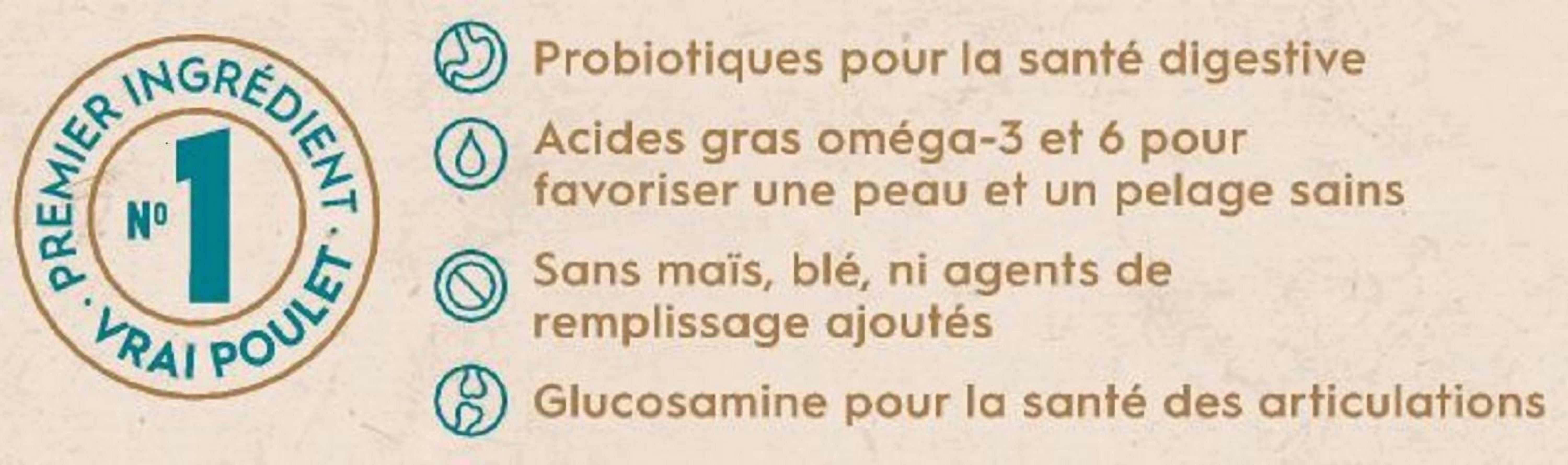 Actr1um Nourriture pour Chiens Holistique au Poulet et à l'Orge avec Céréales Anciennes Recette pour Grande Race 14kg