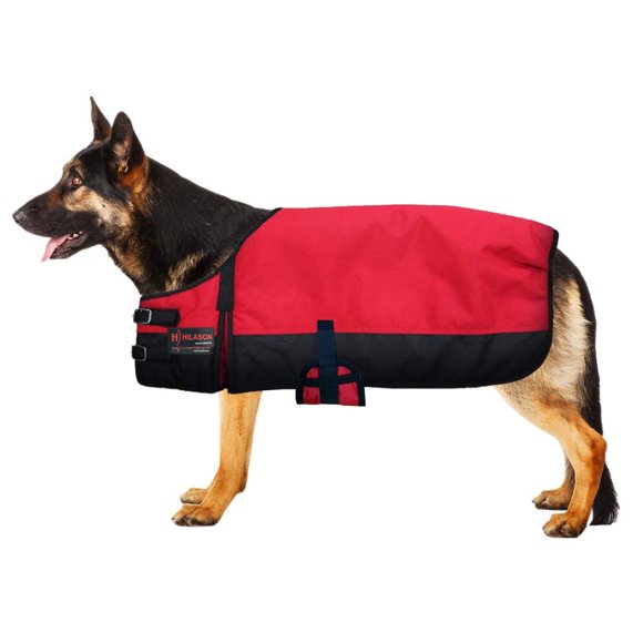 HILASON 200 GSM 1200D Winter Turnout Waterproof Dog Blanket purpal Black | Dog Coats and Blankets | Waterproof Warm Jackets | Dog Coat | Pet Blanket for Snow Cold Weather