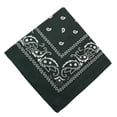 thumbnail image 1 of Meitianfacai Paisley Bandanas Multi Colored Set Cowboy Bandana Head Scarf Double Sided, Mint Green, 1 of 1