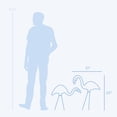 thumbnail image 5 of Allied Precision Lawn & Garden G-2 2 Count Pink Flamingos, 5 of 5