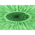 thumbnail image 1 of Ahgly Company Machine Washable Indoor Rectangle Transitional Green Area Rugs, 4' x 6', 1 of 7