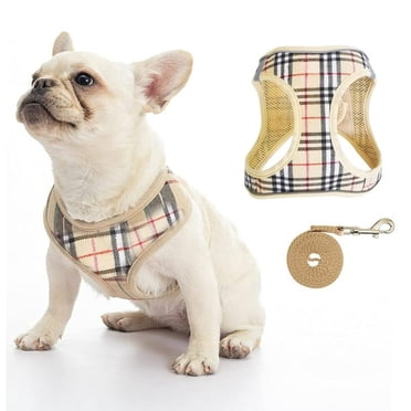 Ensemble Harnais et Laisse Réfléchissants pour Chien, Maille Douce, Animal de Compagnie Chiot Chat, Gilet Rembourré Confortable, Harnais Anti-Traction