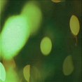 thumbnail image 1 of Ahgly Tapis d'Intérieur Lavable en Machine Carré Vert Forêt Foncé, 8 Pieds Carré, 1 of 7