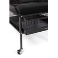 thumbnail image 2 of Prevue Select Wrought Iron Bird Cage, Black, 2 of 9