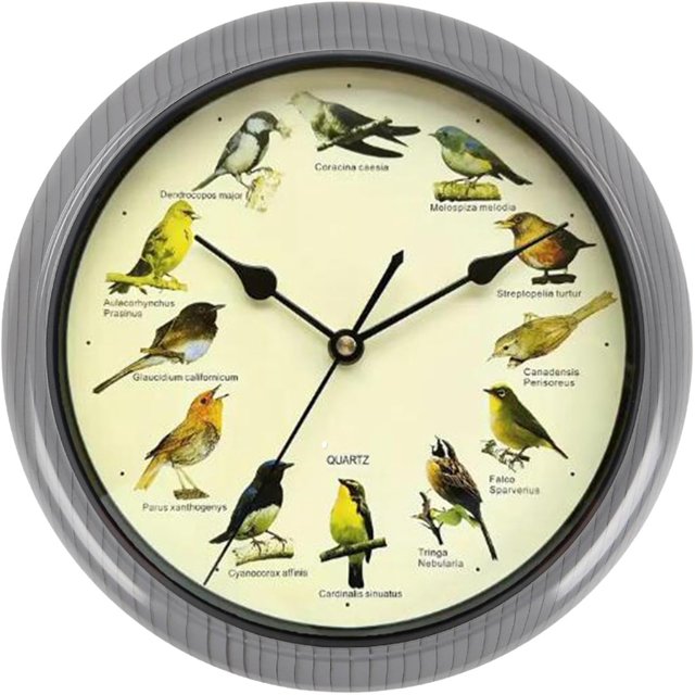 Singing Wild Bird Wall Clock, Room Decoration, Battery Operated Melody Clock, Gray 25cm