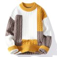 thumbnail image 1 of Birdeem Tricot pour Hommes Col Rond Chandail Élastique Couleurs Assorties Texture Tendance Manteau Chandail, 1 of 9