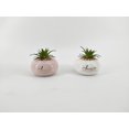 thumbnail image 1 of Mini jardinière, 1 of 1