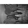 thumbnail image 1 of Ahgly Company Machine Washable Indoor Rectangle Transitional Charcoal Black Area Rugs, 7' x 10', 1 of 7