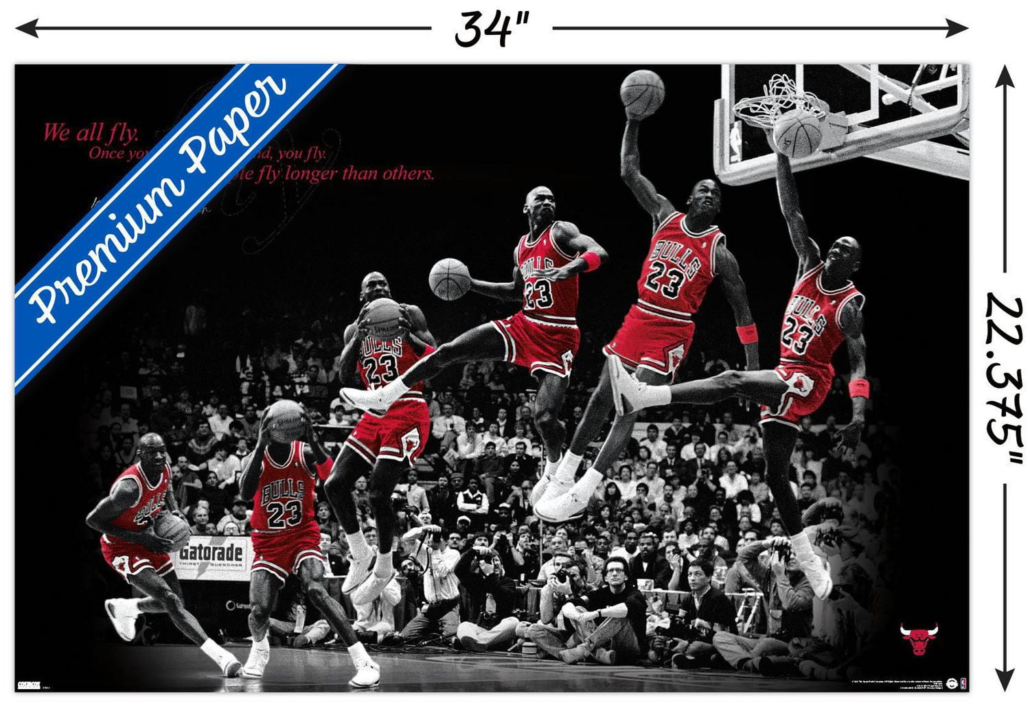 Michael Jordan - Fly Wall Poster, 22.375" x 34" Framed