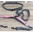 thumbnail image 4 of Laisse pour Chien Mains Libres avec Poche Zippée, Poignée Doublement Rembourrée et Élastique Durable pour la Marche, le Jogging et la Course des Chats et des Chiens, 4 of 9
