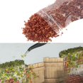 thumbnail image 4 of Milaget Micro Landscape Leaves Layout Grass Tufts Architecture for Fairy Garden Maple 33ml Red, 4 of 8