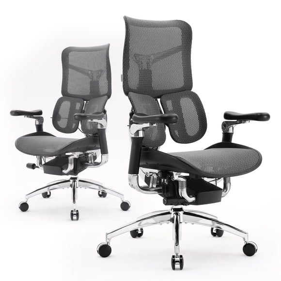 SIHOO Ergonomic Computer Chair Doro-S300 Mesh Office Chair 135-Degree Luxury Recline Chair with SIHOO Design Zero-Gravity Mechanism-6D Coordinated Armrests High-Back Desk Chair for 300 lbs-Black